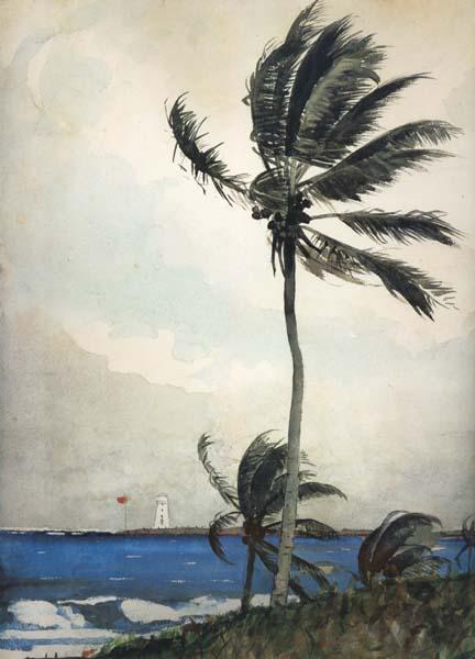 Winslow Homer Palm Tree,Nassau (mk44) China oil painting art